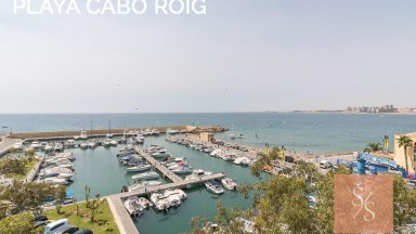 Prostorná dvojvila se zahradou v Playa Flamenca