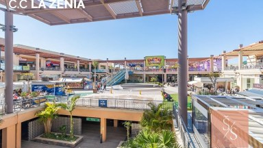 Prostorná dvojvila se zahradou v Playa Flamenca