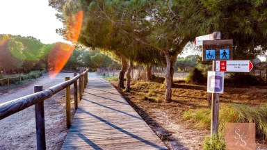Bungalov s terasou u solného jezera Torrevieja