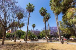 Apartmán Torrevieja, park