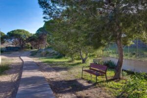 Penthouse La Mata okolí la mata