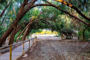 Penthouse La Mata park la mata